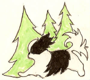 chins/logo3.jpg